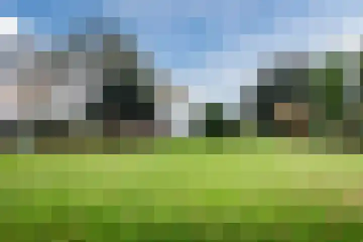 Wijtgraaf 33 Hierden thumbnail 7