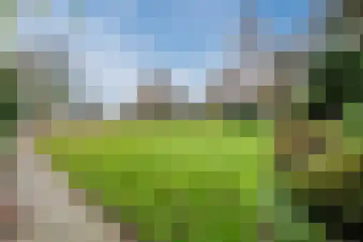 Wijtgraaf 33 Hierden thumbnail 8