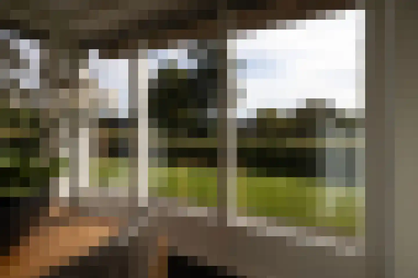 Wijtgraaf 6 A Hierden thumbnail 15