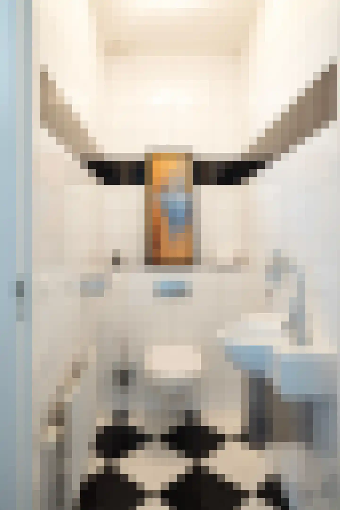 Wijtgraaf 6 A Hierden thumbnail 32