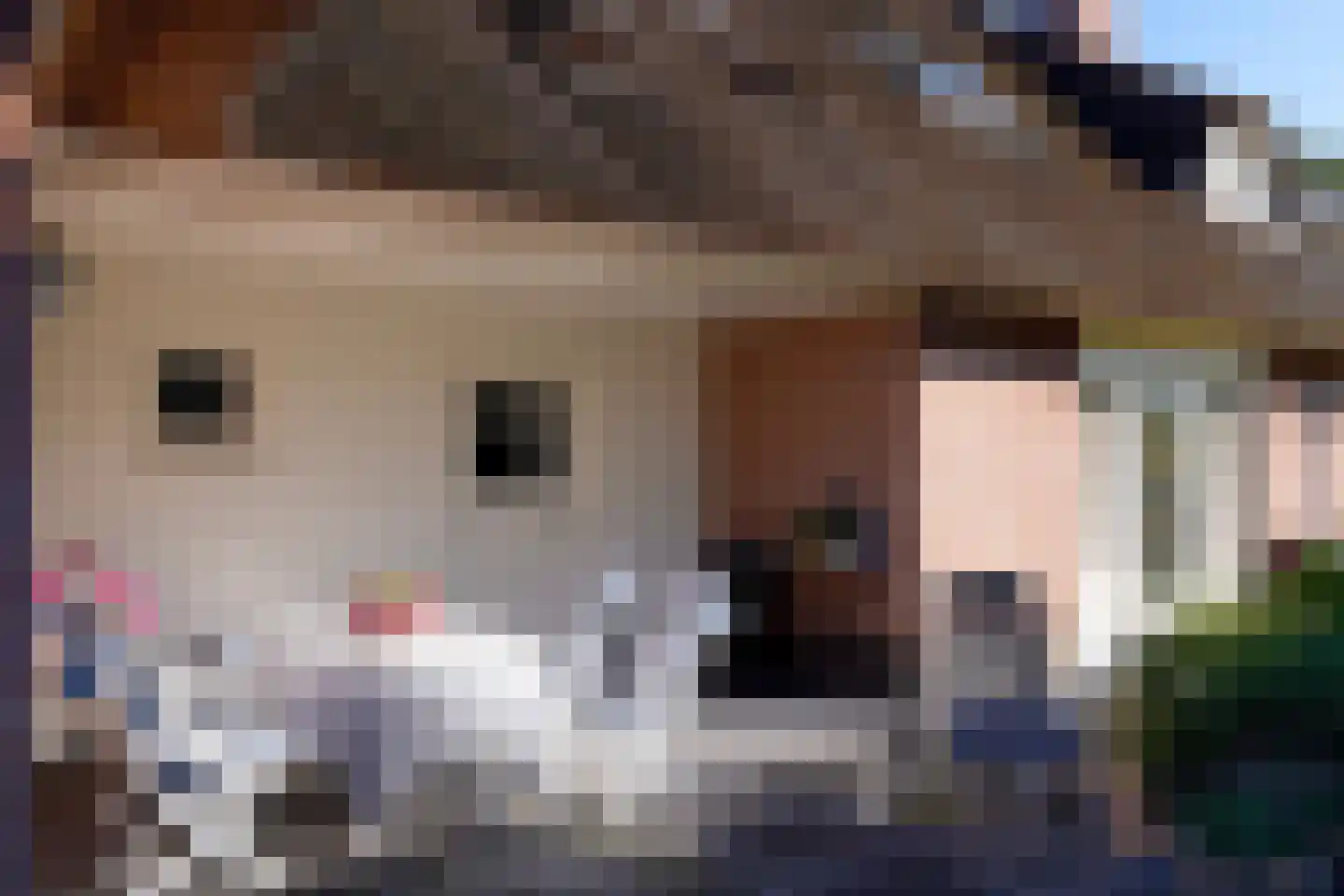 Wijtgraaf 6 A Hierden thumbnail 37