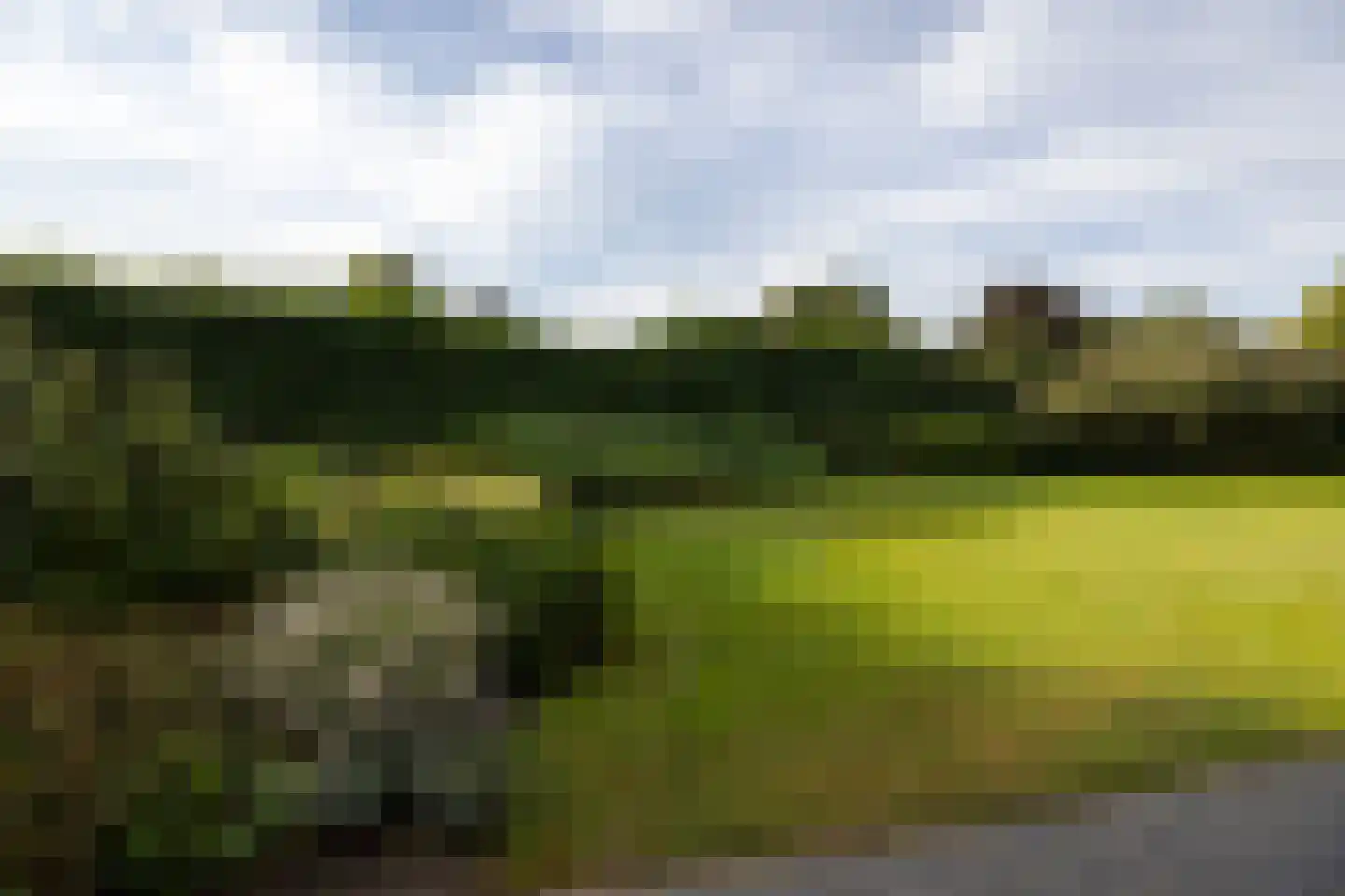 Wijtgraaf 6 A Hierden thumbnail 43