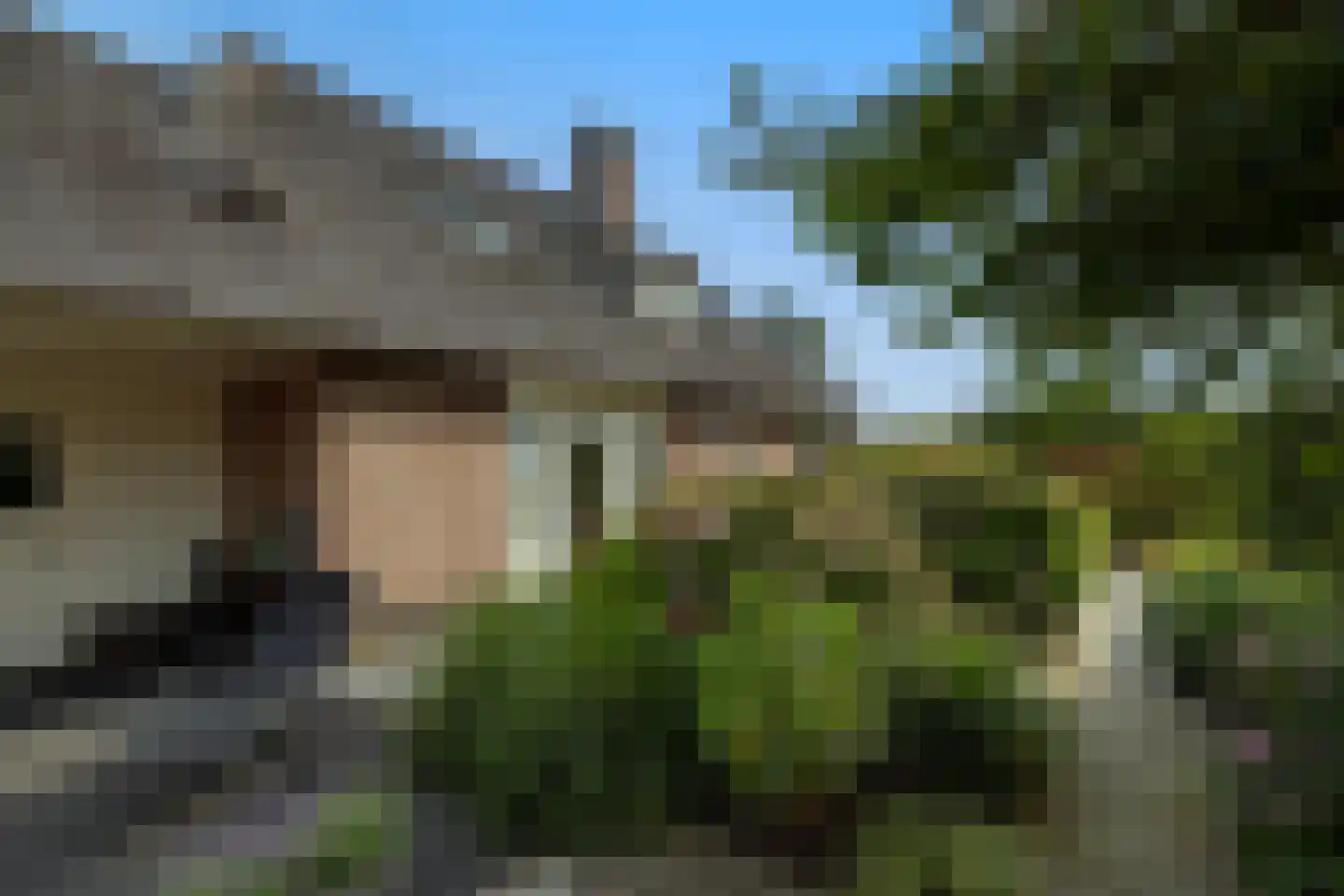 Wijtgraaf 6 A Hierden thumbnail 44