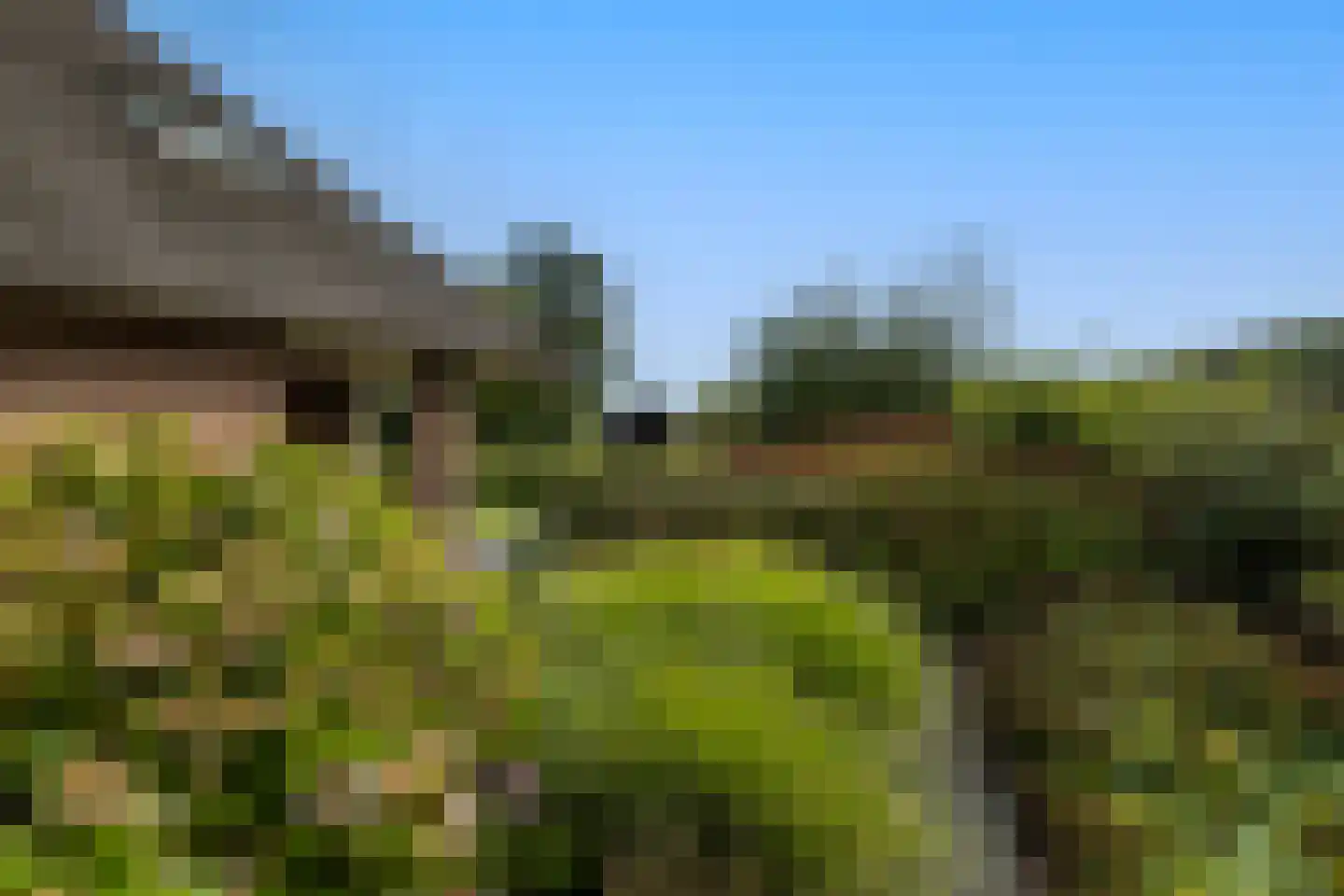 Wijtgraaf 6 A Hierden thumbnail 45
