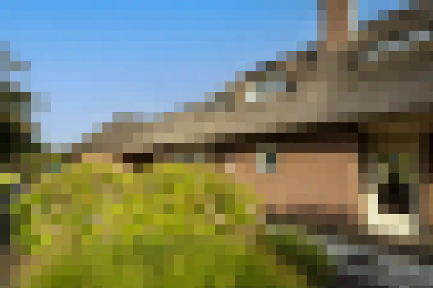 Wijtgraaf 6 A Hierden thumbnail 47