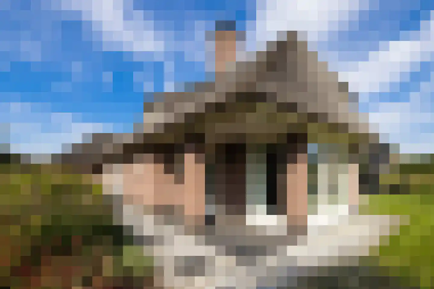 Wijtgraaf 6 A Hierden thumbnail 48