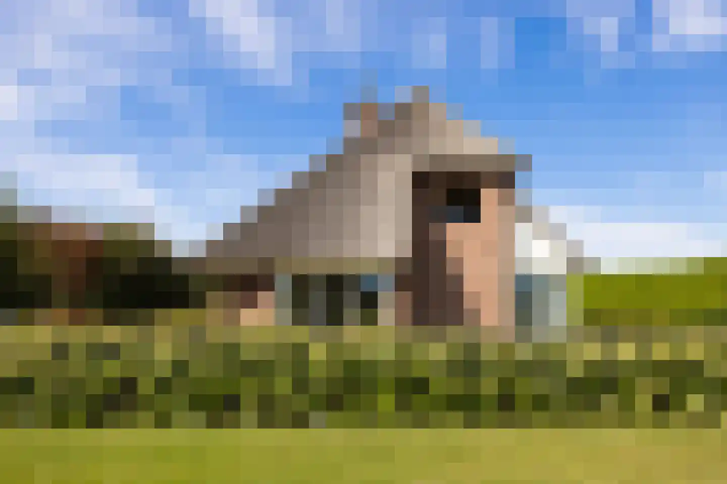 Wijtgraaf 6 A Hierden thumbnail 49