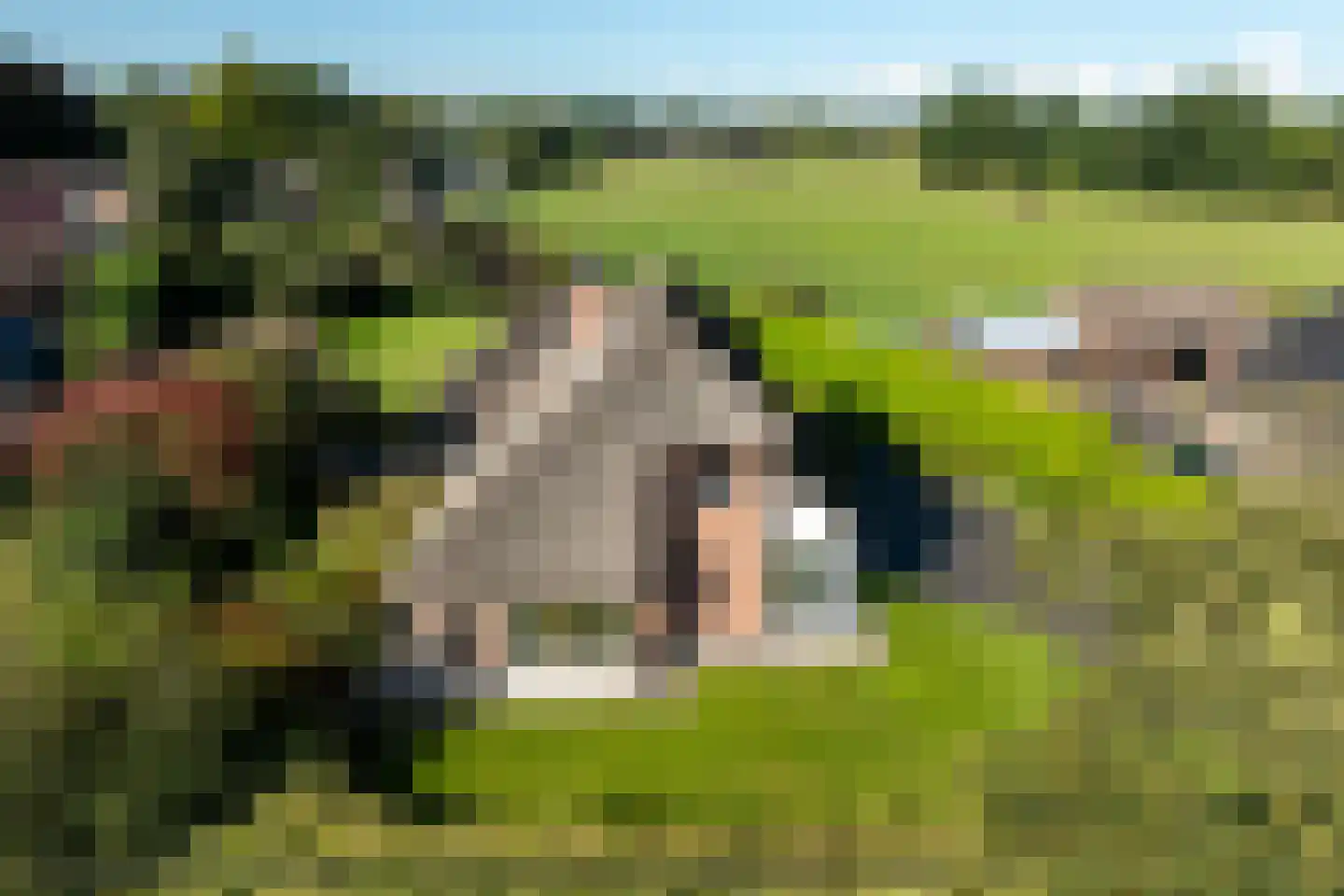 Wijtgraaf 6 A Hierden thumbnail 54