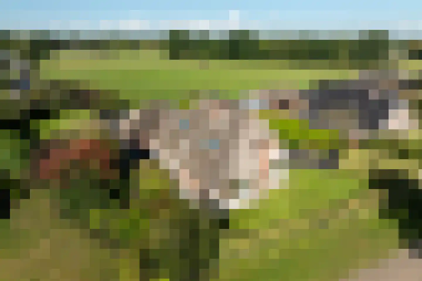 Wijtgraaf 6 A Hierden thumbnail 55
