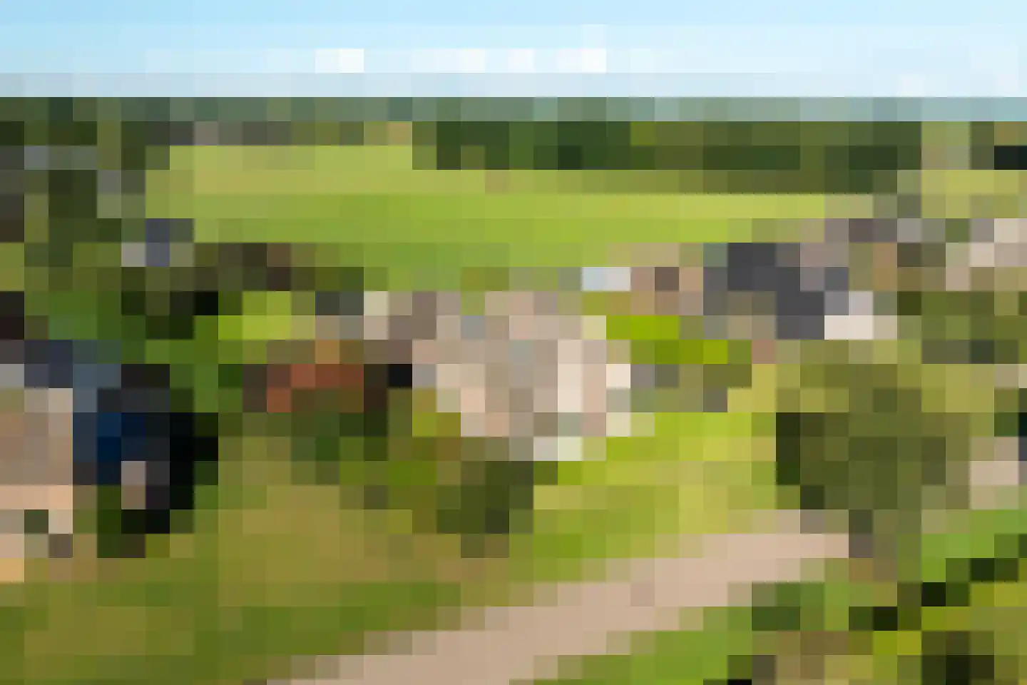 Wijtgraaf 6 A Hierden thumbnail 56