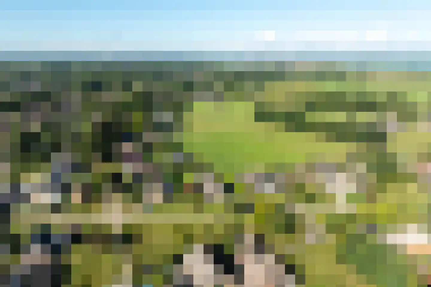 Wijtgraaf 6 A Hierden thumbnail 58