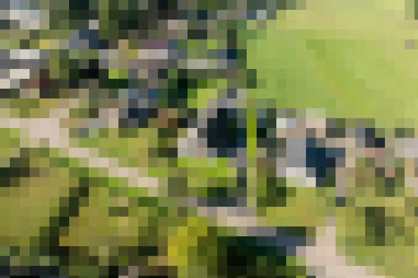 Wijtgraaf 6 A Hierden thumbnail 59