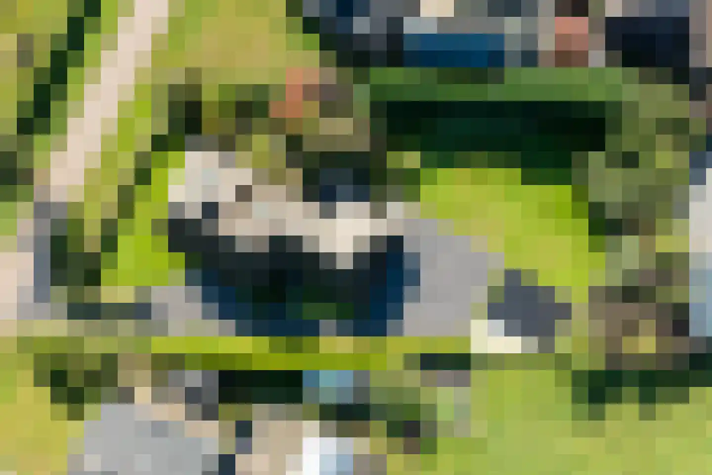 Wijtgraaf 6 A Hierden thumbnail 60
