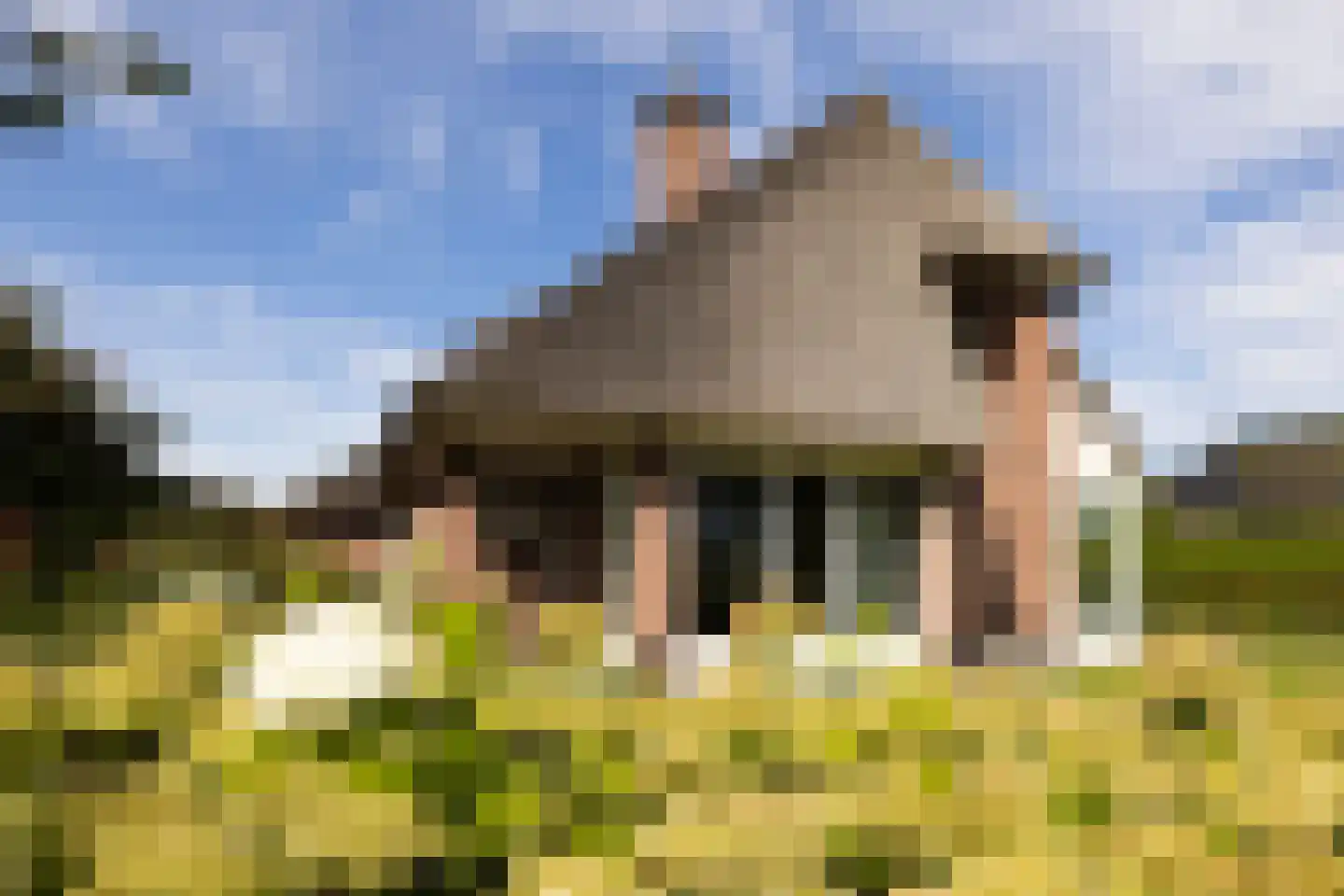 Wijtgraaf 6 A Hierden thumbnail 7