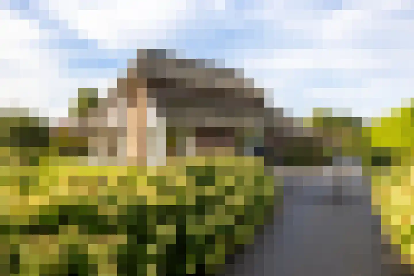 Wijtgraaf 6 A Hierden thumbnail 8