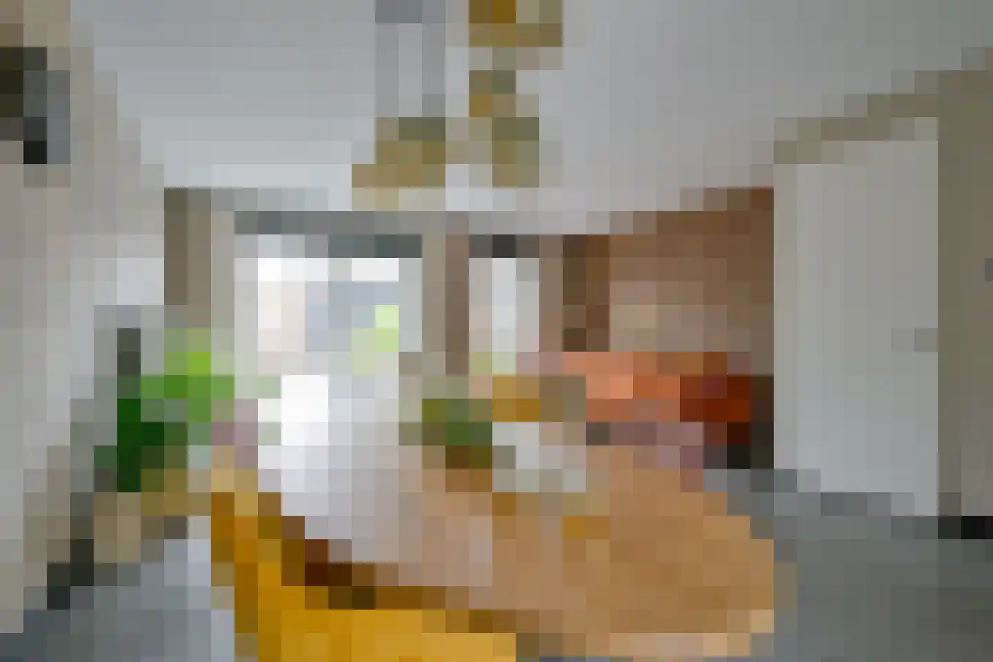 Wijting 12 Schagen thumbnail 10