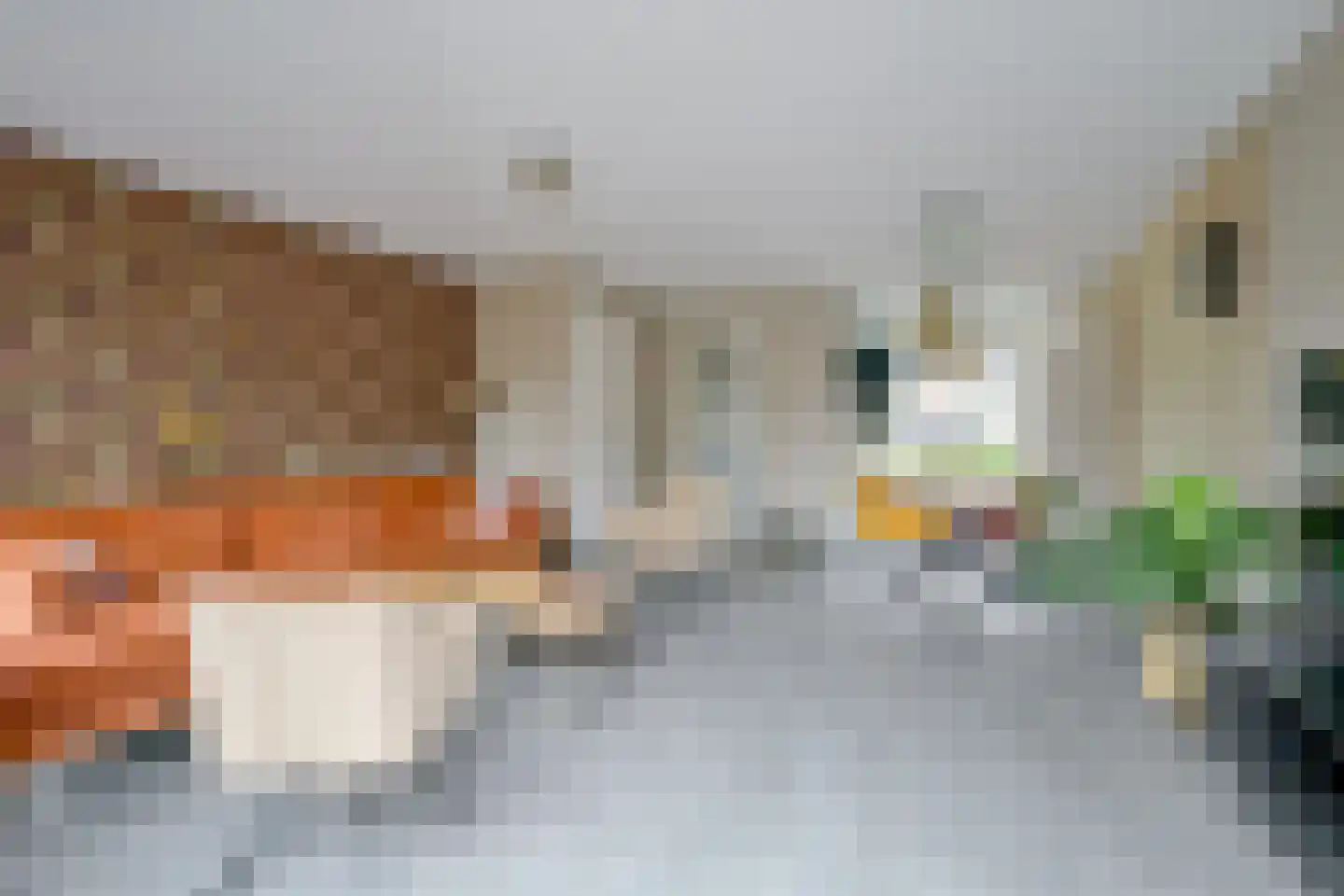 Wijting 12 Schagen thumbnail 15