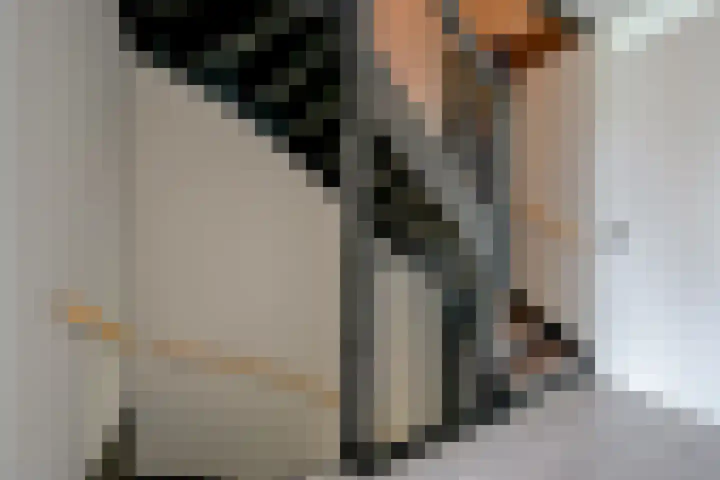 Wijting 12 Schagen thumbnail 25