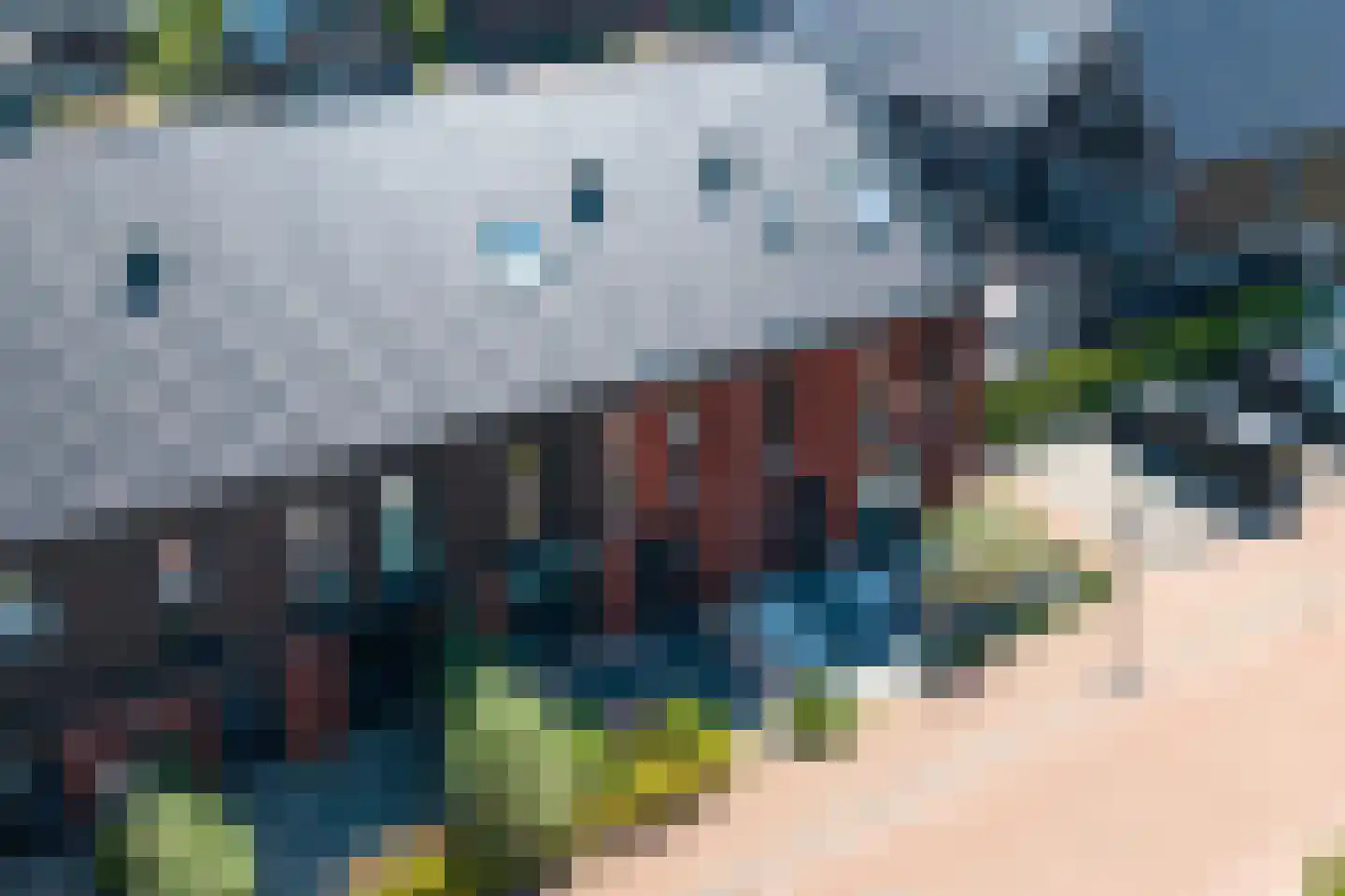 Wijting 12 Schagen thumbnail 36