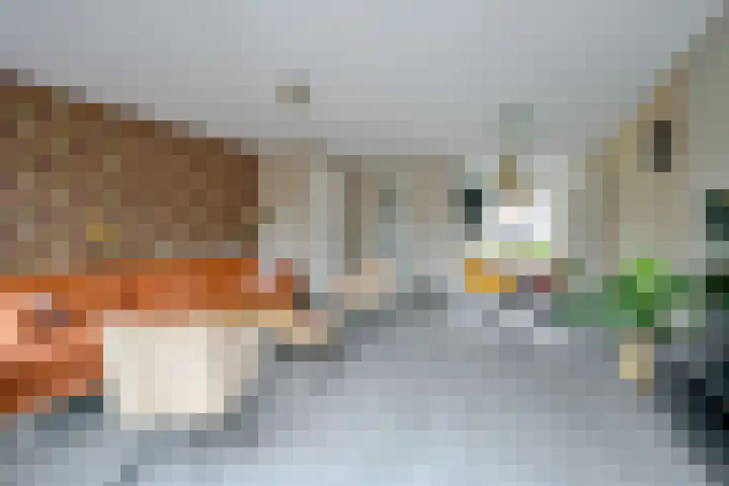 Wijting 12 Schagen thumbnail 6