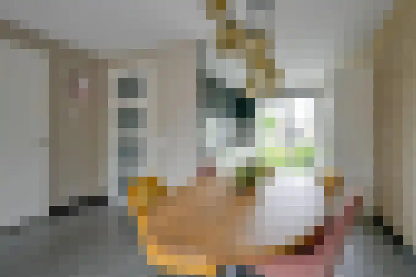 Wijting 12 Schagen thumbnail 7