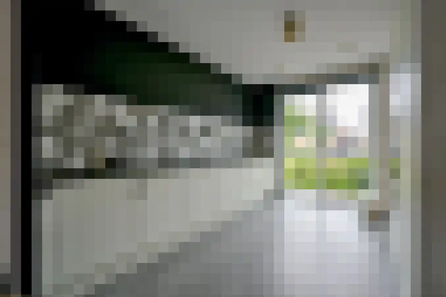 Wijting 12 Schagen thumbnail 8