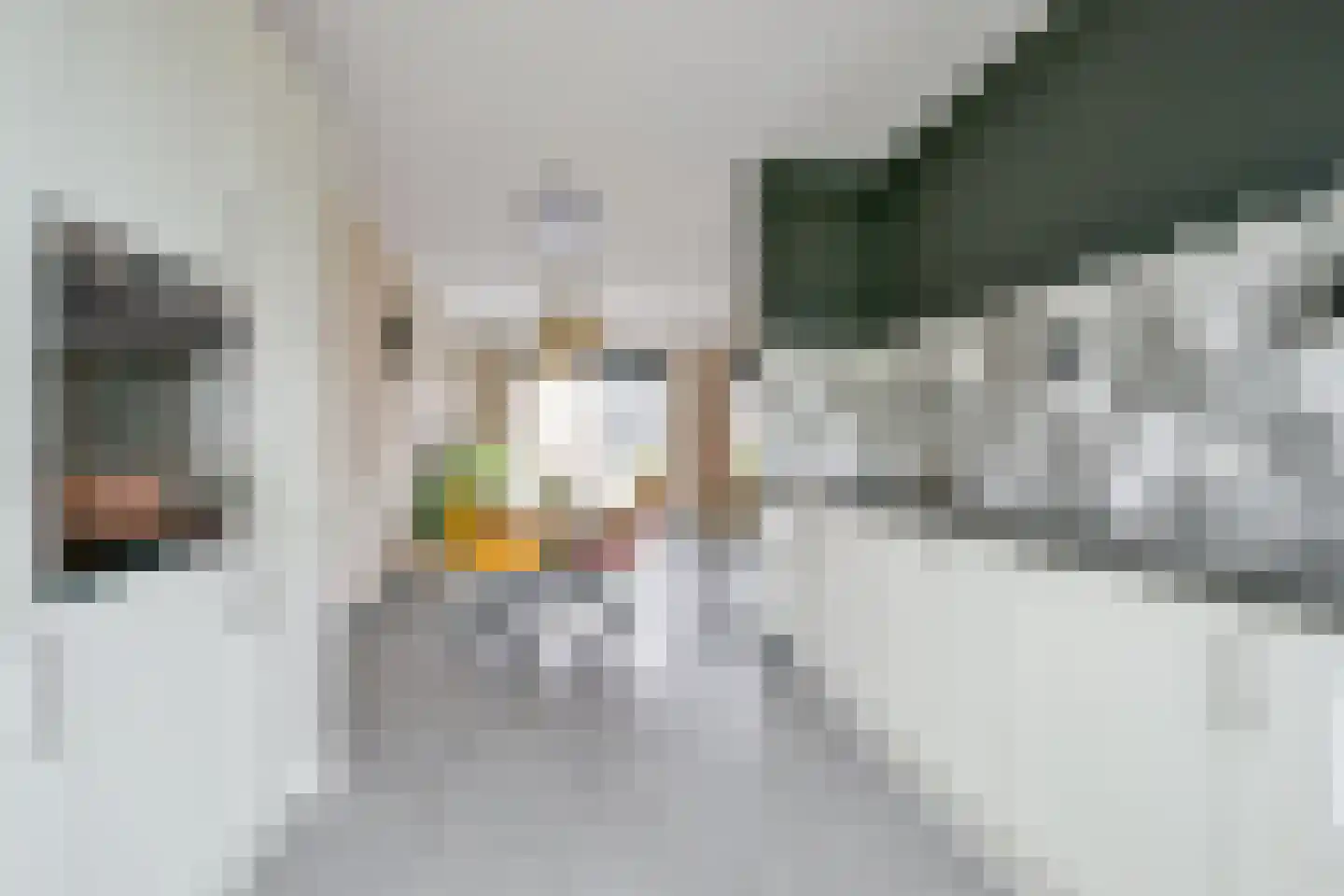 Wijting 12 Schagen thumbnail 9