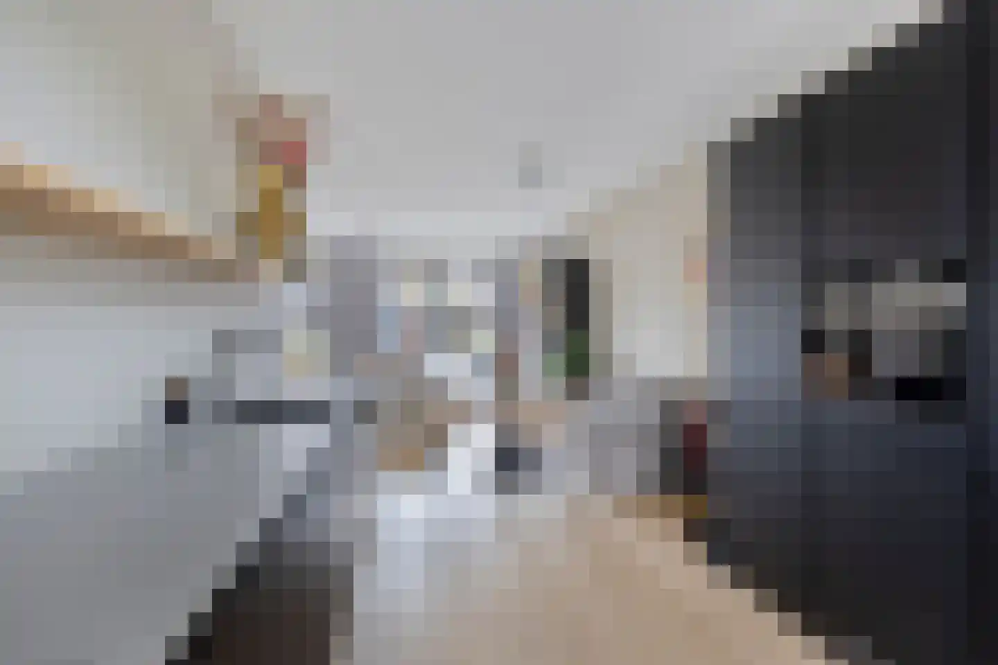 Wijting 14 Schagen thumbnail 13