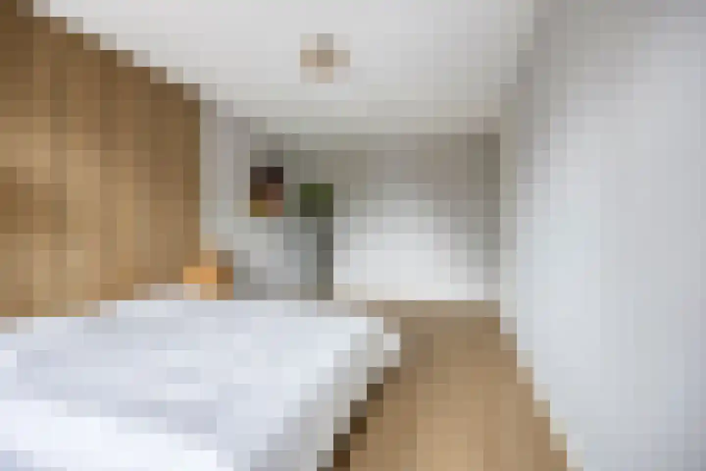 Wijting 14 Schagen thumbnail 17