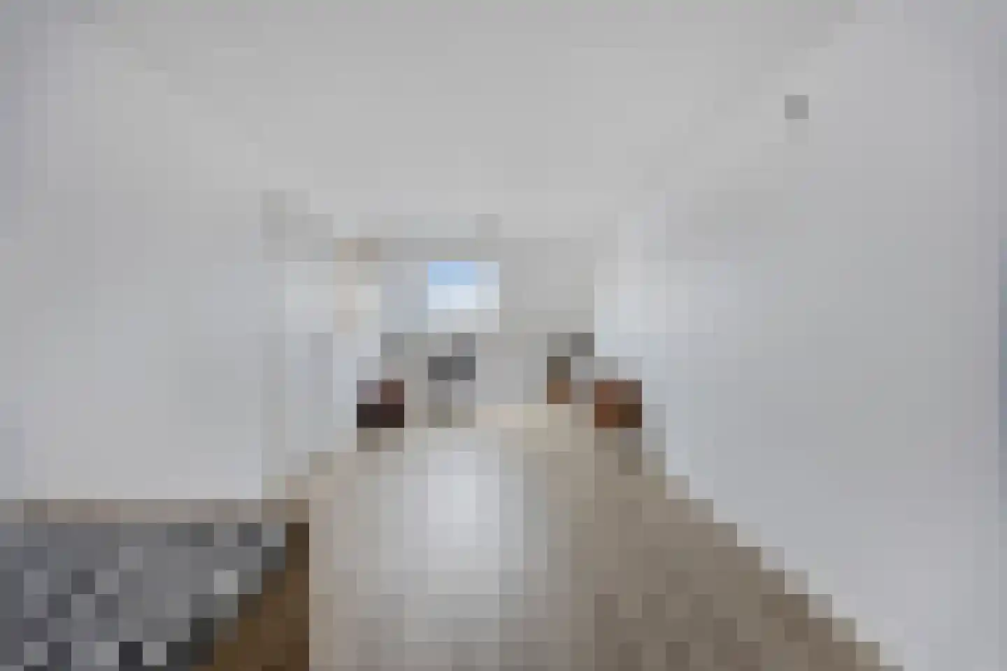 Wijting 14 Schagen thumbnail 25