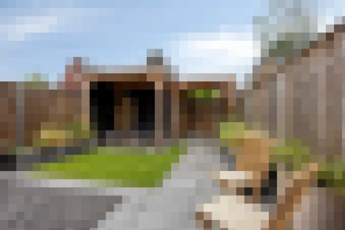 Wijting 14 Schagen thumbnail 27