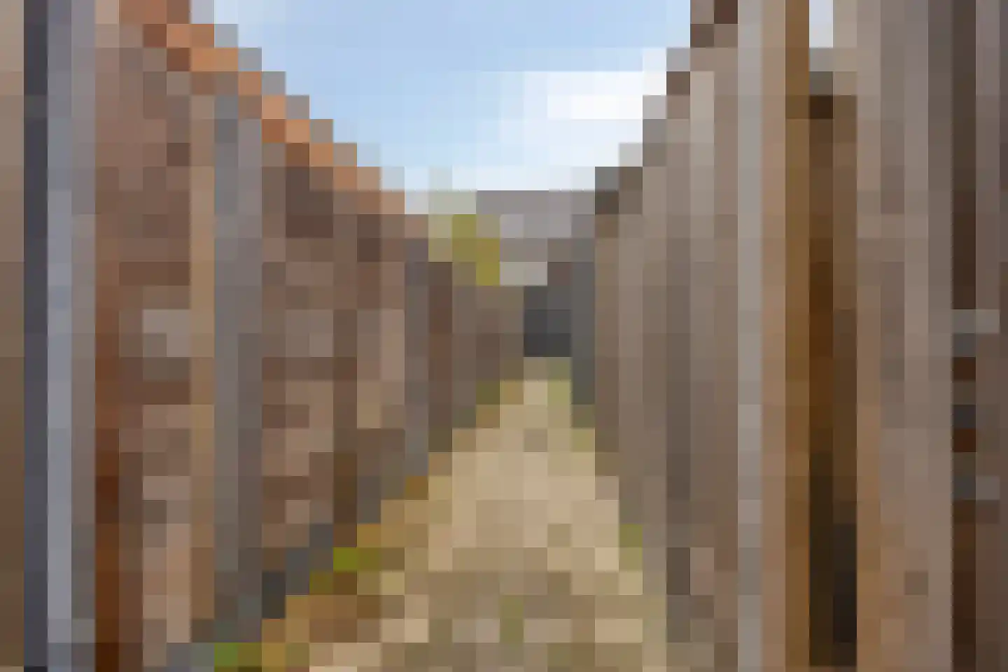 Wijting 14 Schagen thumbnail 33