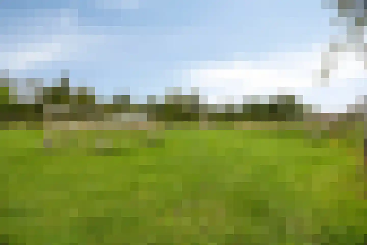 Wijting 14 Schagen thumbnail 34
