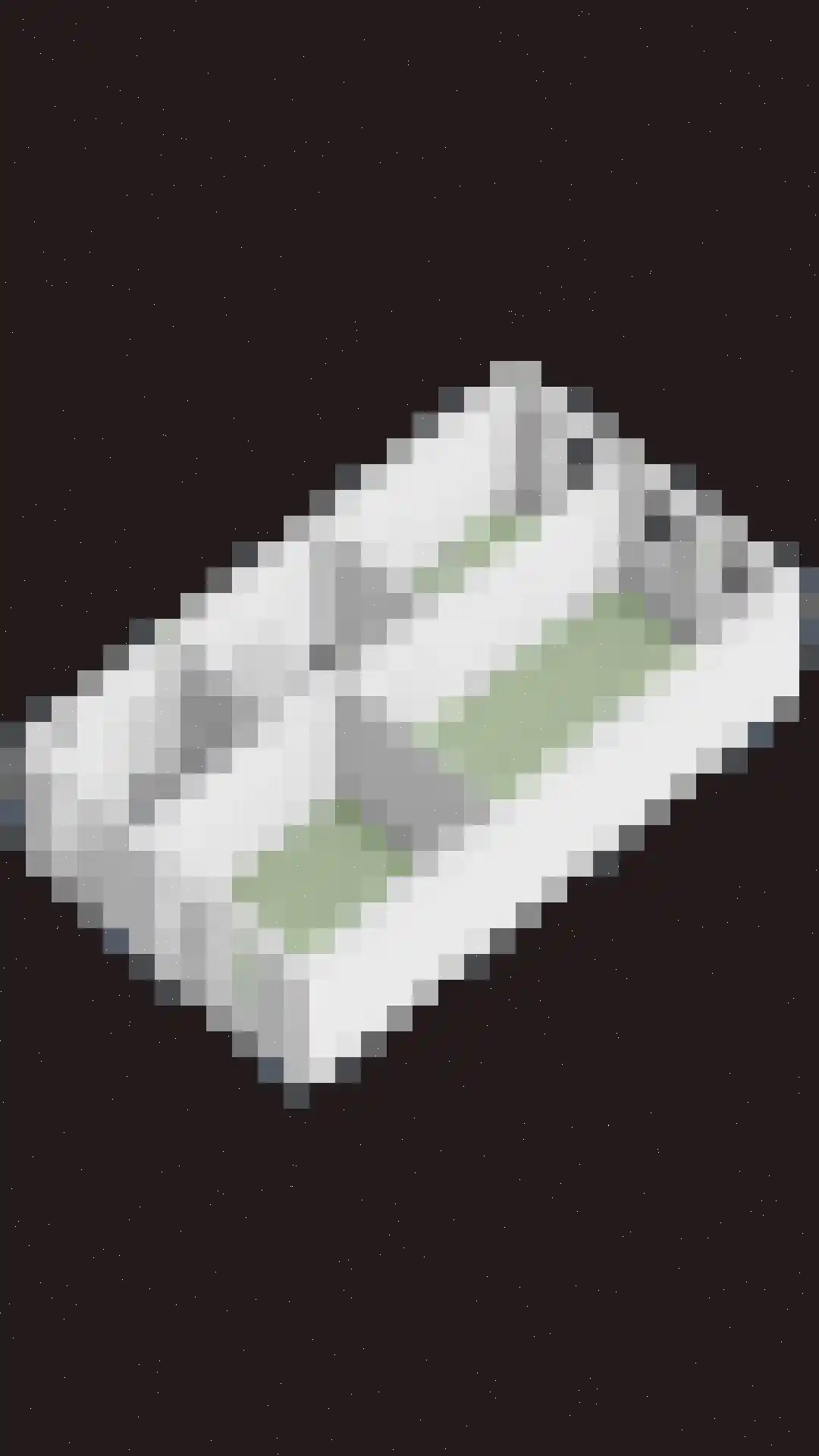 Wijting 14 Schagen thumbnail 38