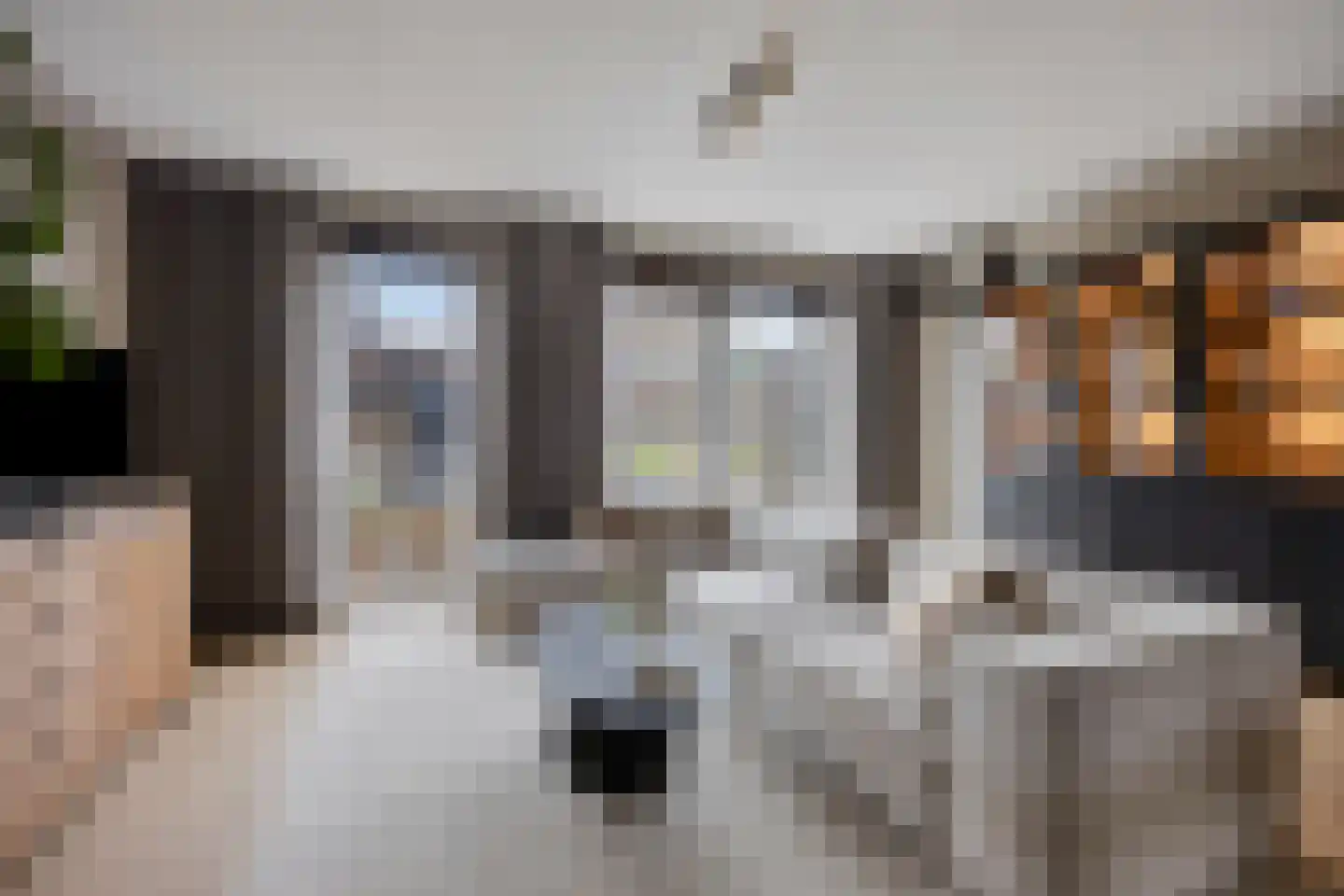 Wijting 14 Schagen thumbnail 4