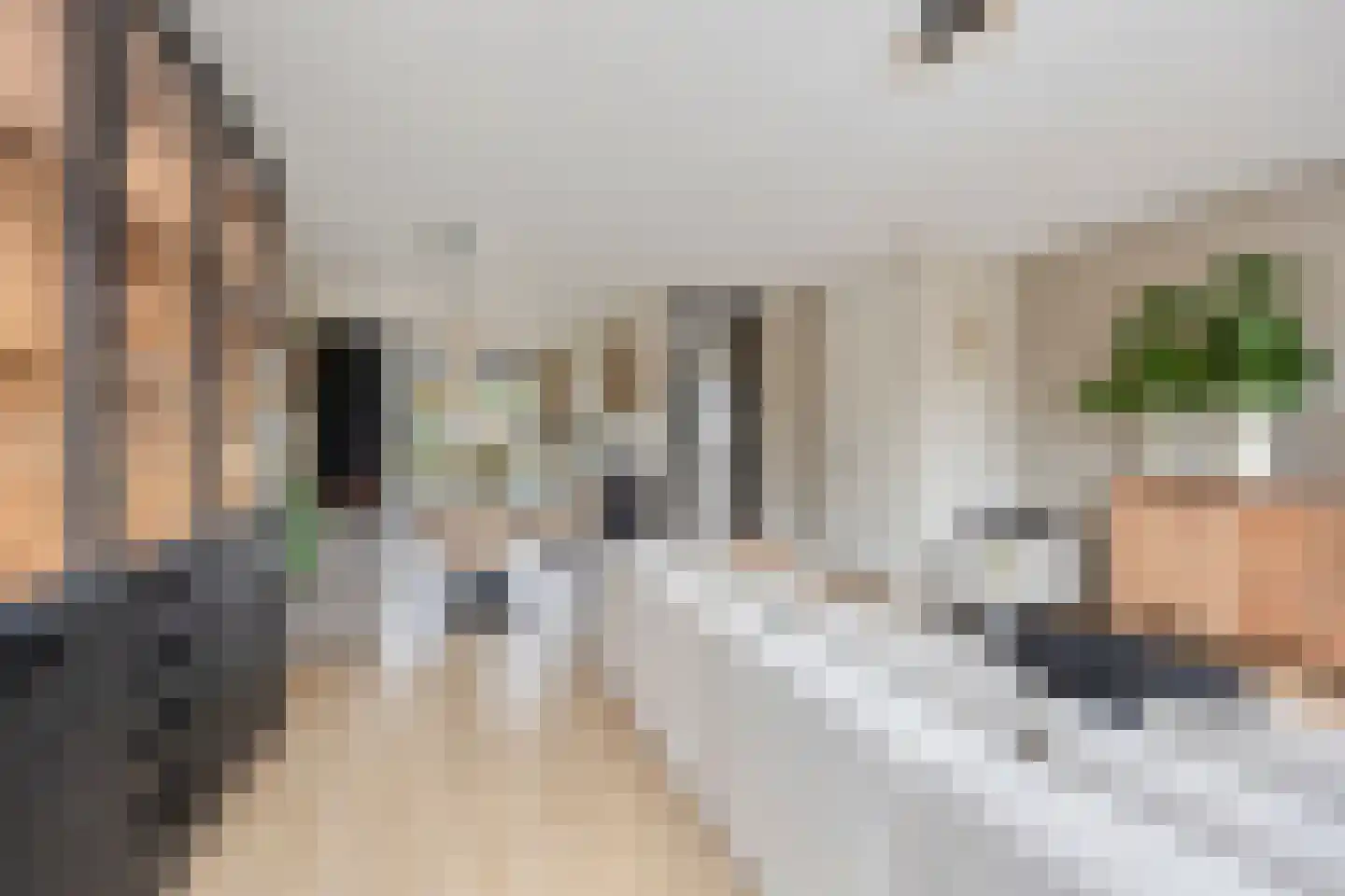 Wijting 14 Schagen thumbnail 9