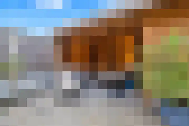 Wijting 16 Hellevoetsluis thumbnail 42