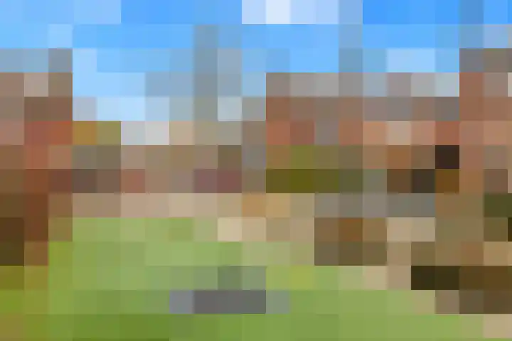 Wijting 16 Hellevoetsluis thumbnail 45