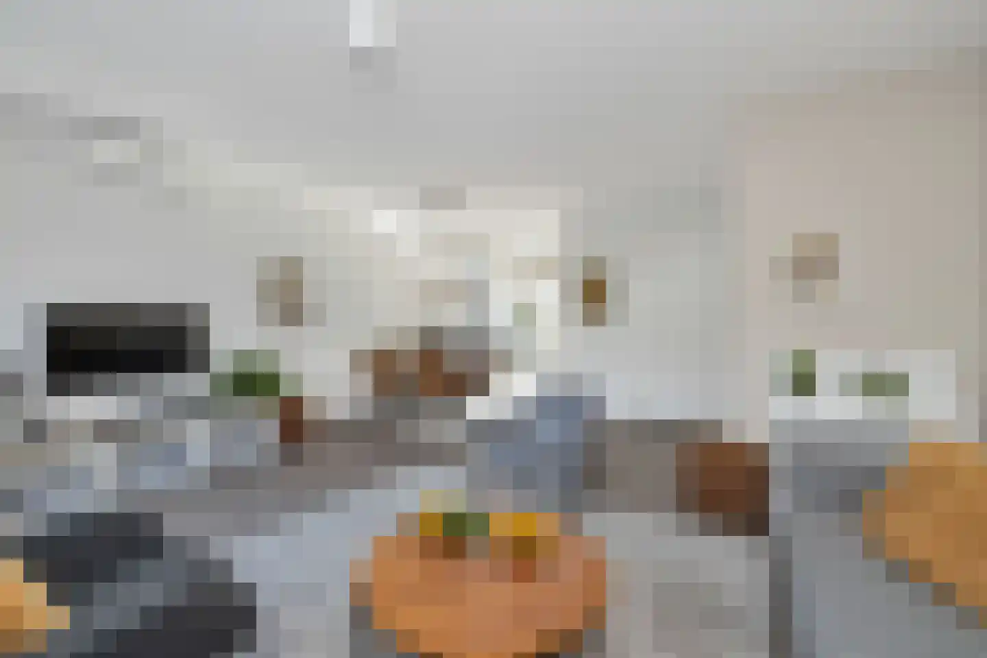 Wijting 2 Schagen thumbnail 15