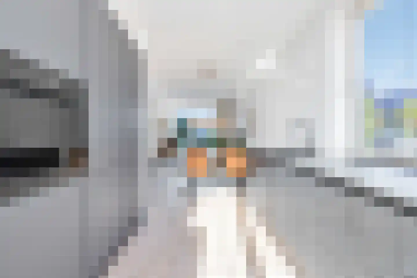 Wijting 2 Schagen thumbnail 18