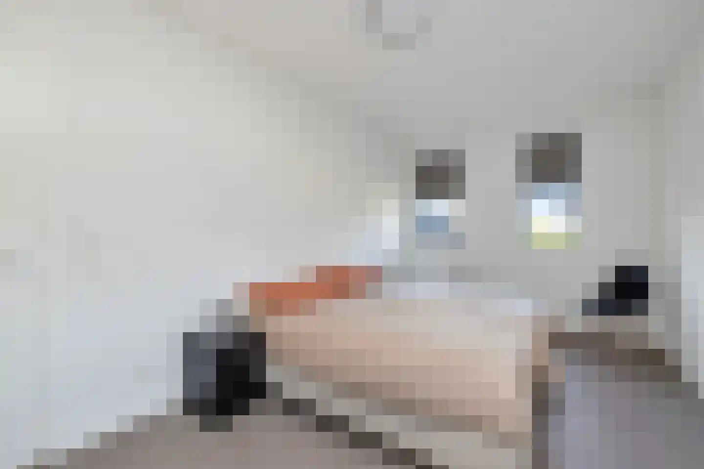 Wijting 2 Schagen thumbnail 22
