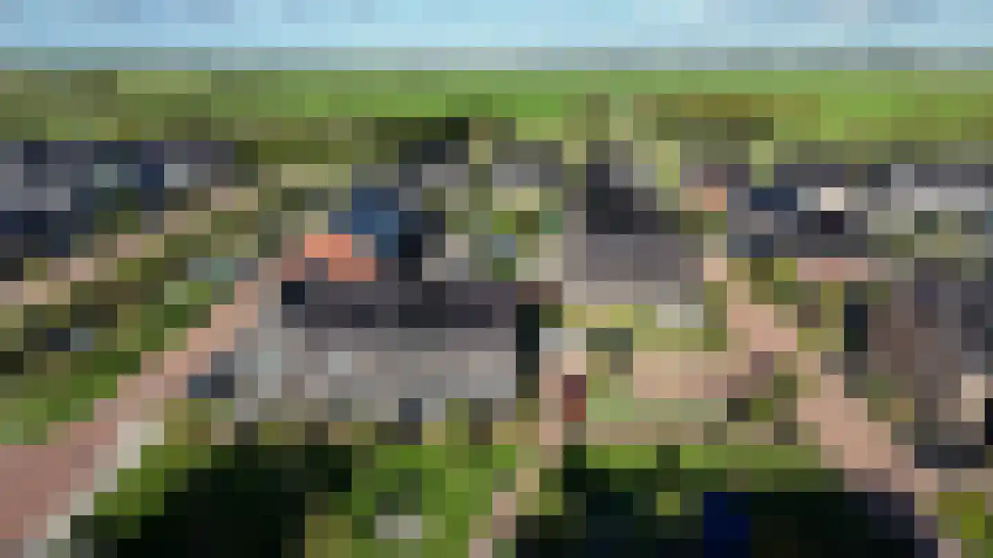 Wijting 2 Schagen foto 3