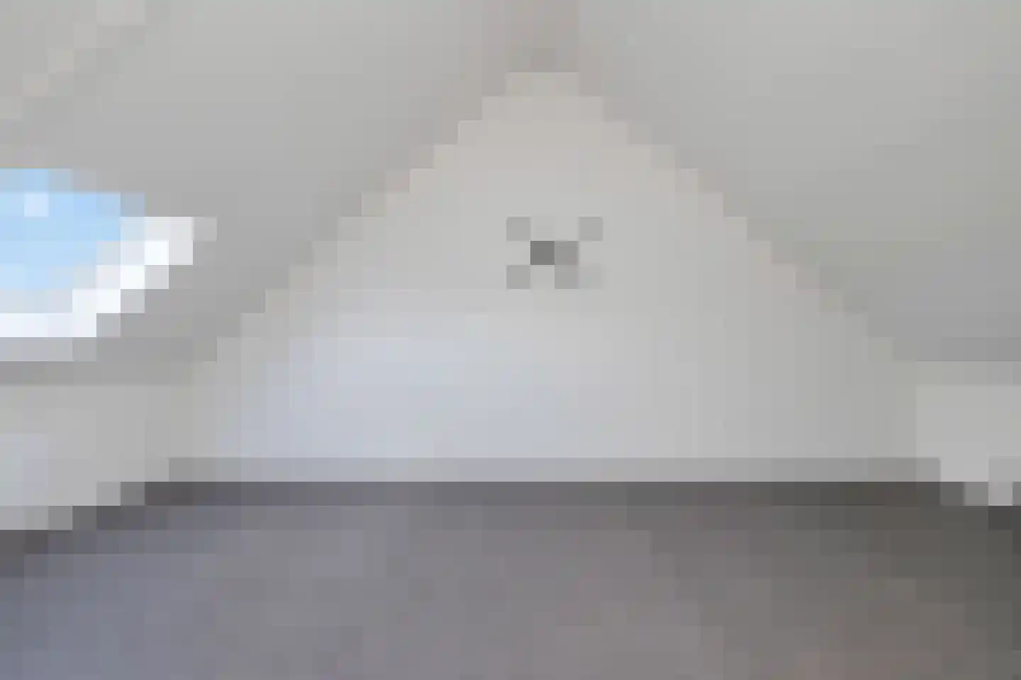 Wijting 2 Schagen thumbnail 30