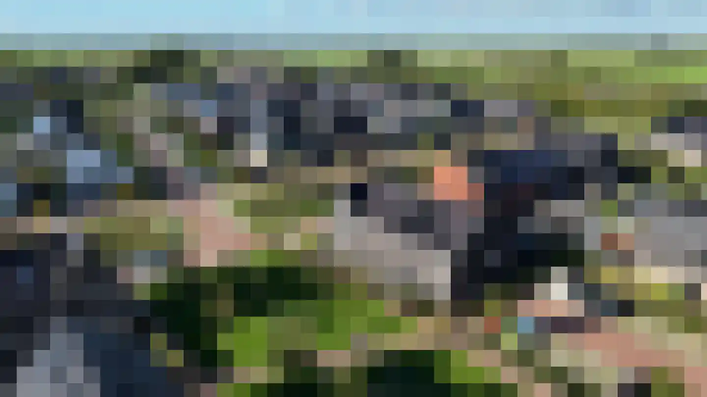 Wijting 2 Schagen thumbnail 36