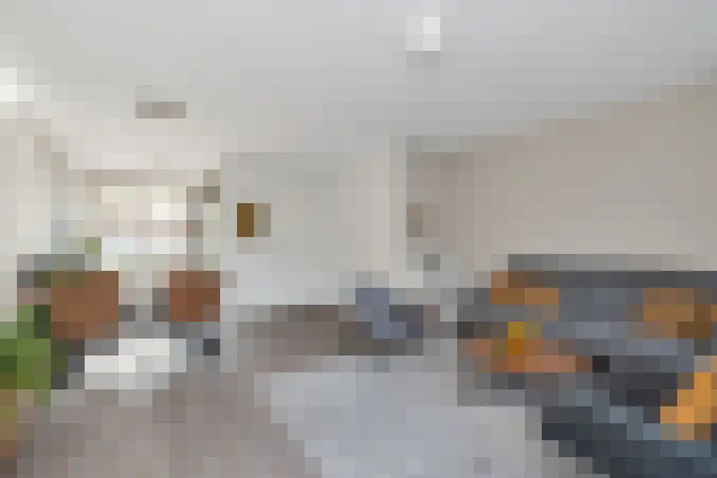 Wijting 2 Schagen thumbnail 6