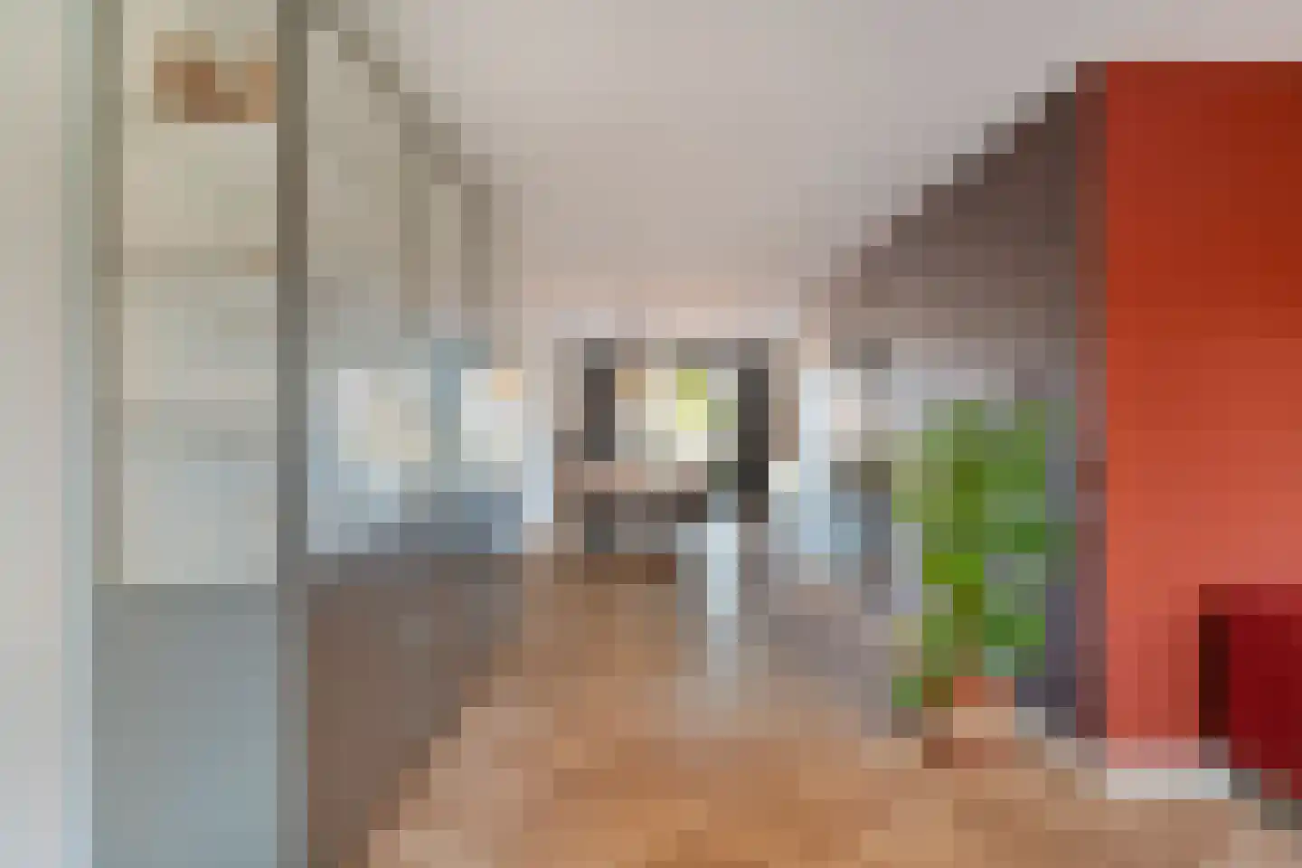 Wijting 20 Schagen thumbnail 14