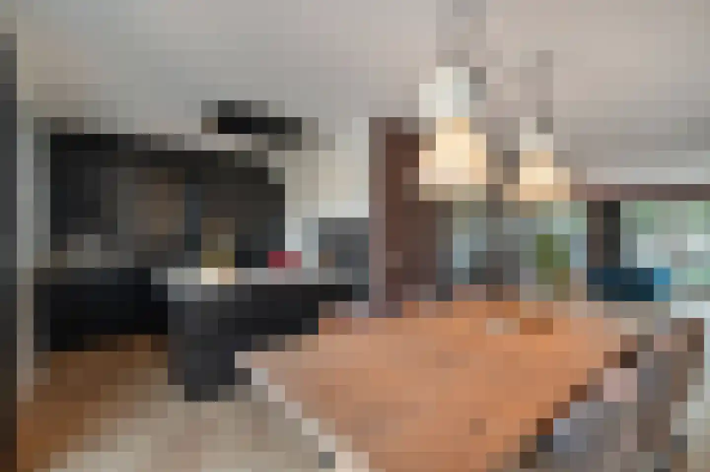 Wijting 20 Schagen thumbnail 17