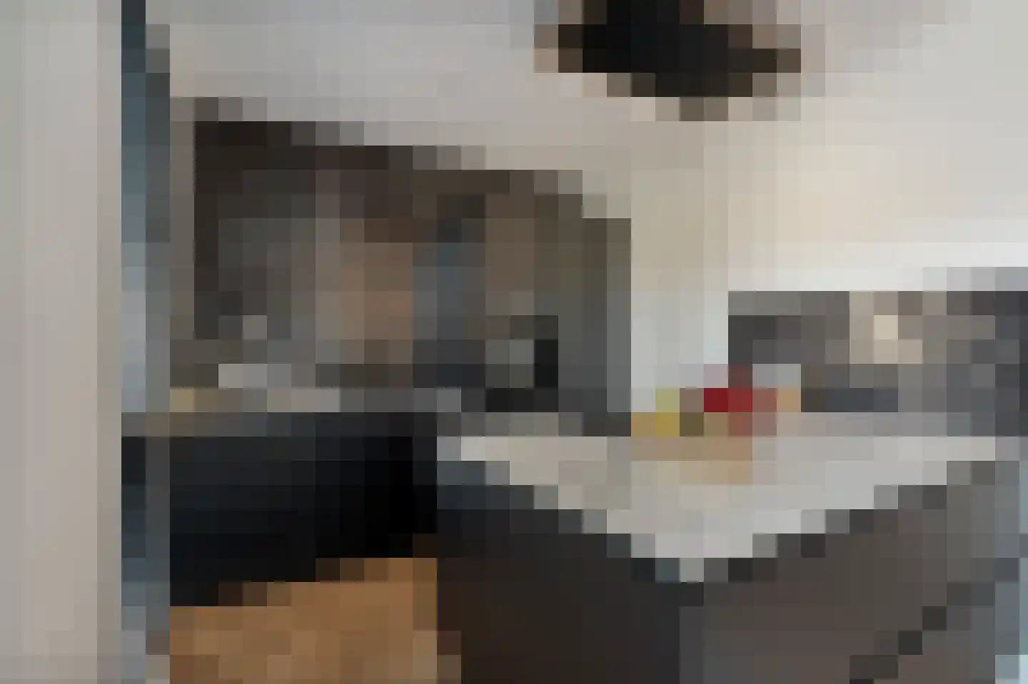 Wijting 20 Schagen thumbnail 18