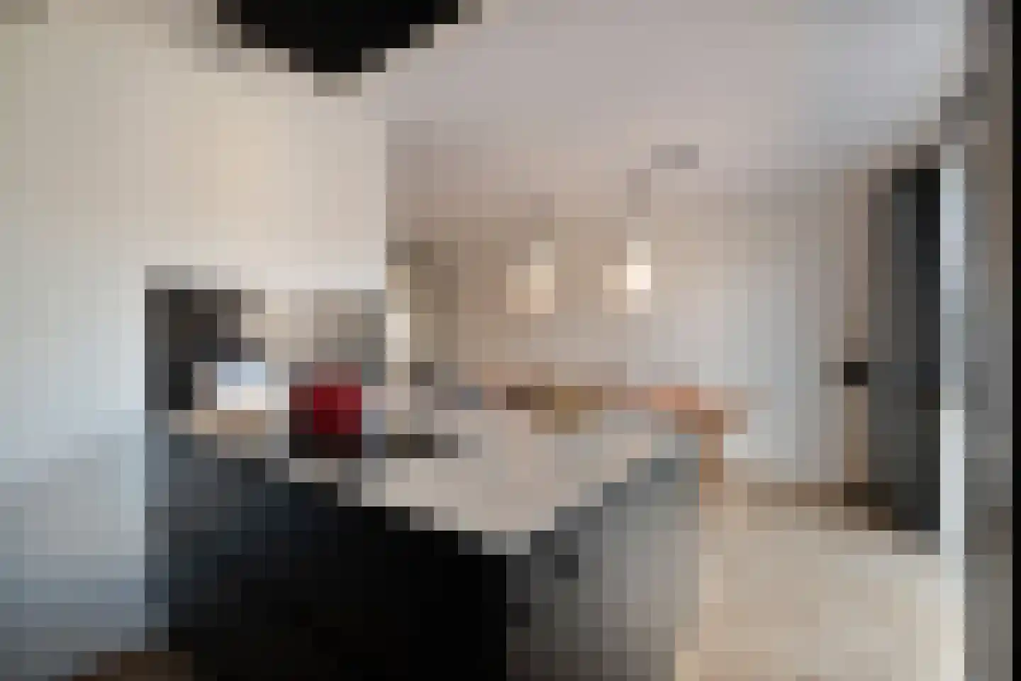 Wijting 20 Schagen thumbnail 20