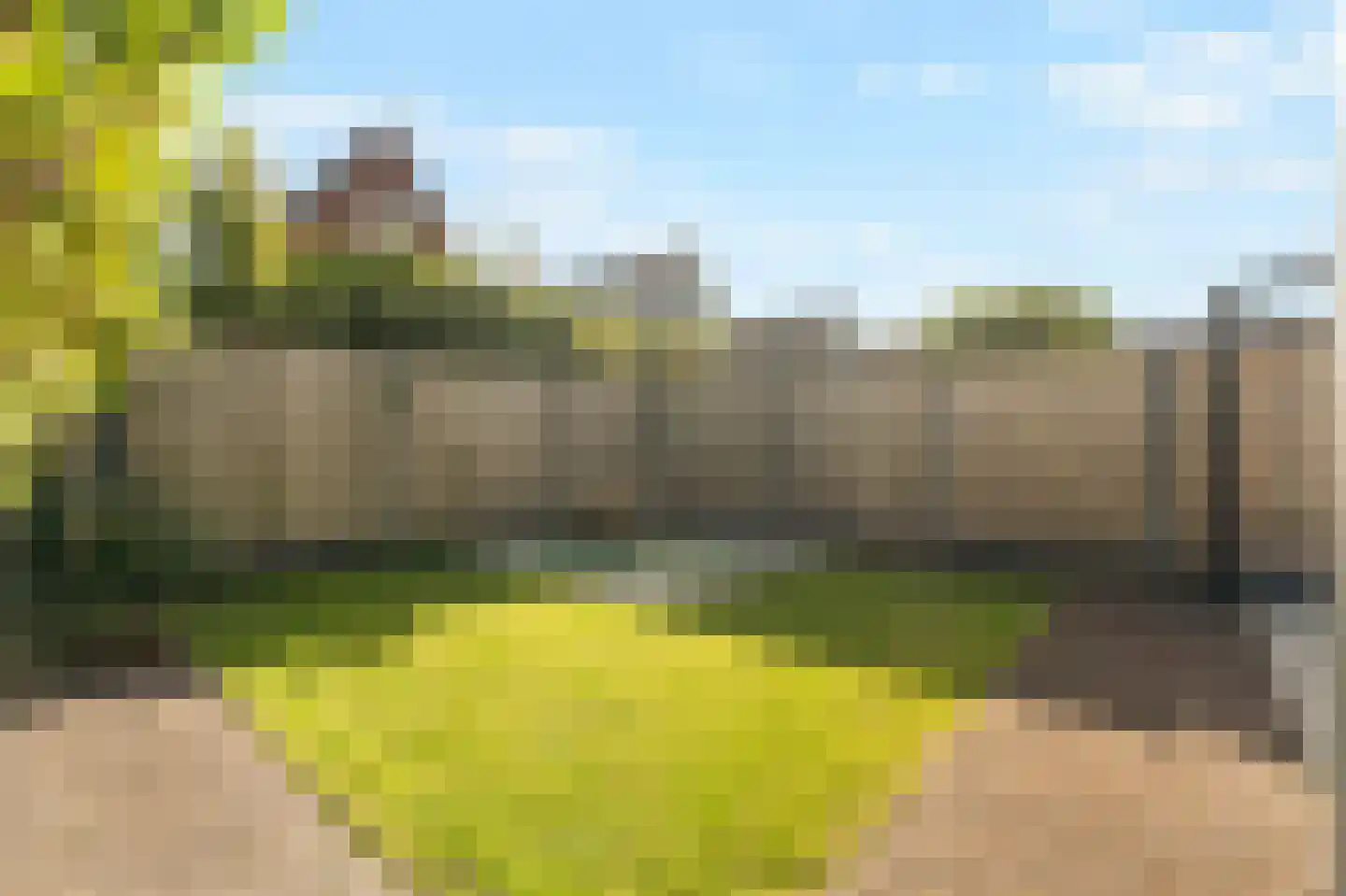 Wijting 20 Schagen thumbnail 25